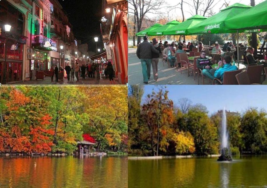 Central Park Bukareszt Pokój zdjęcie